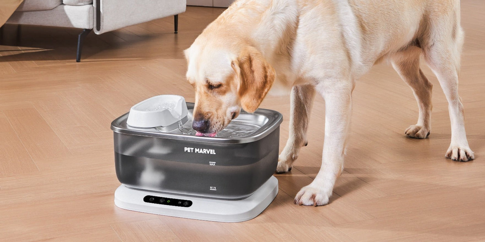 The Best Water Fountain for Large Dogs & Multi-Cat Households - PET MARVEL