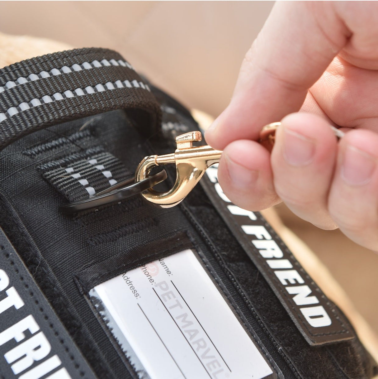 the details of buckle on the dog car seat