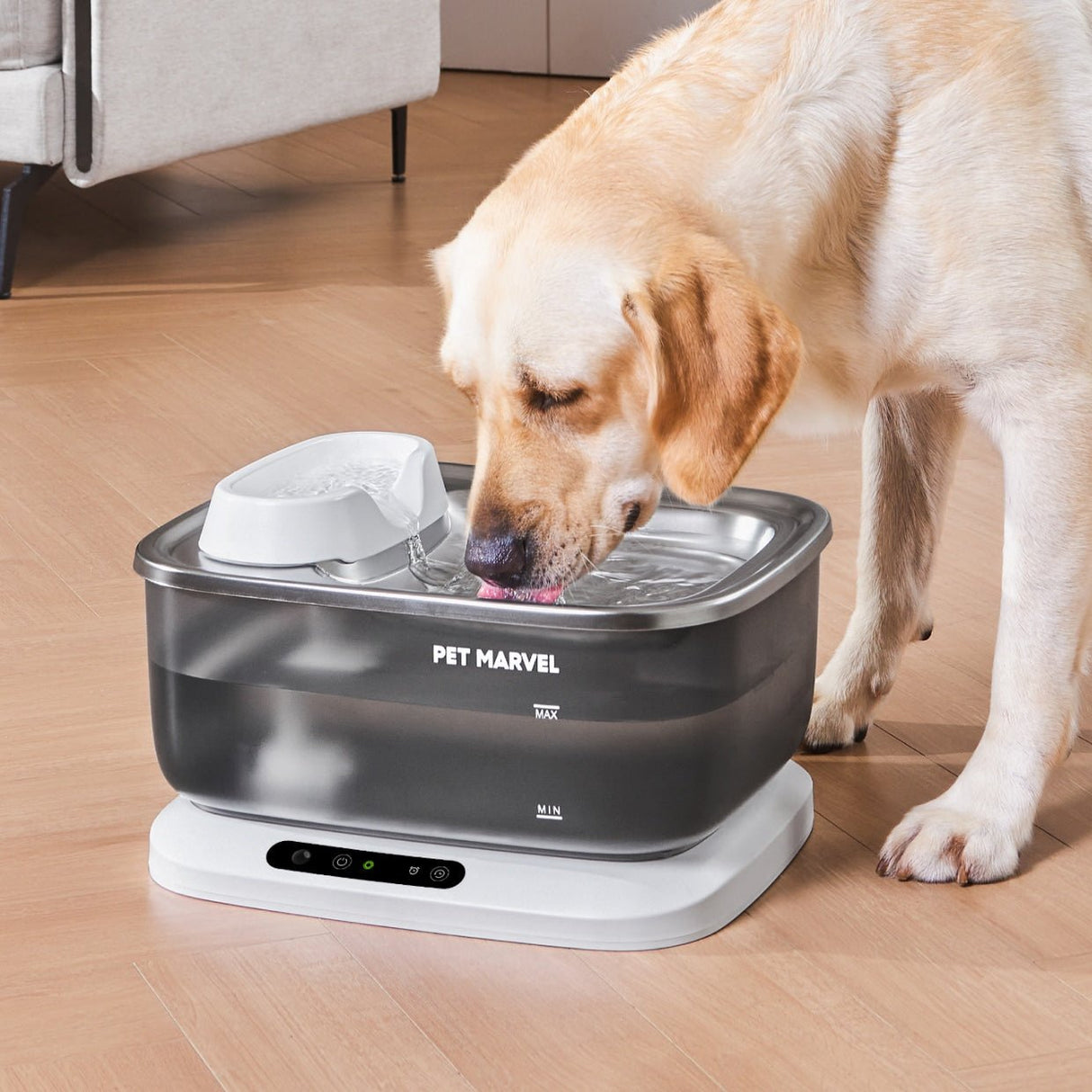 a large dog is drinking water with fountain F2 V2