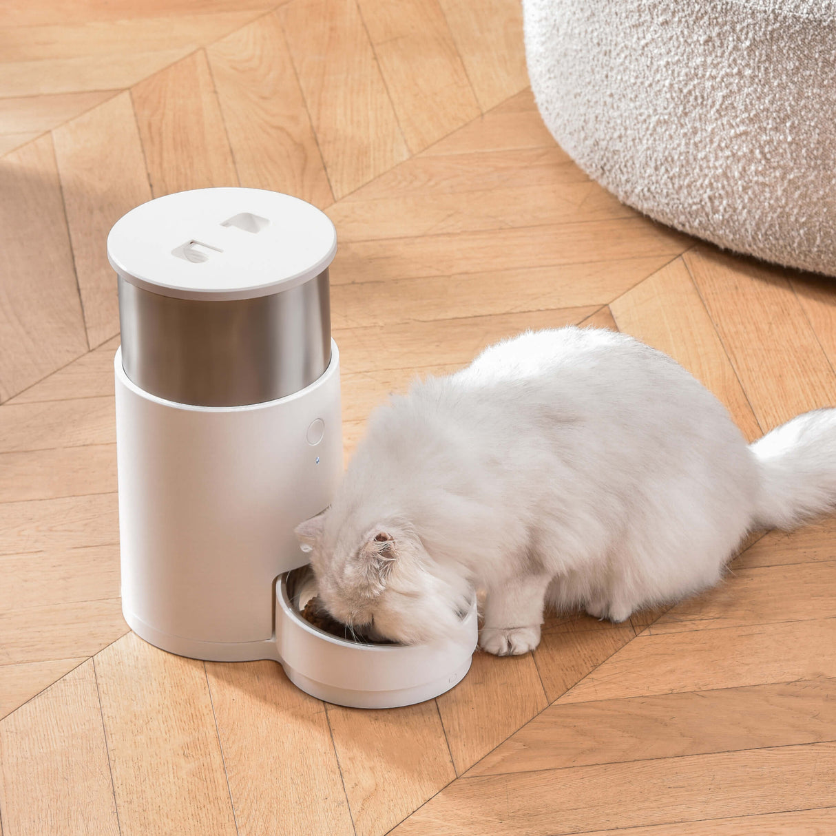 Automatic Cat Feeder with WiFi APP (Light SE)