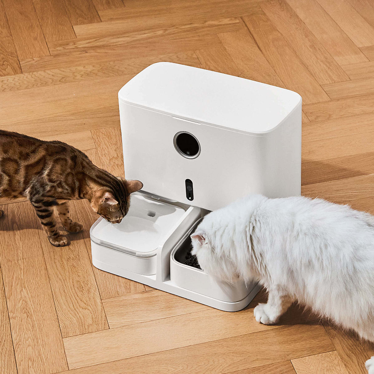 2 in 1 Pet Smart Feeder & Water Dispenser (M1 Pro)