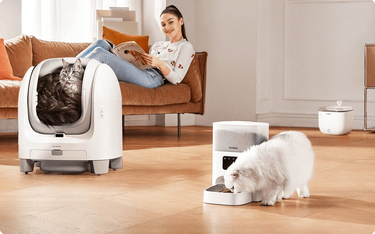 Enjoy life with PET MARVEL smart device at home: litter box, feeder and fountain