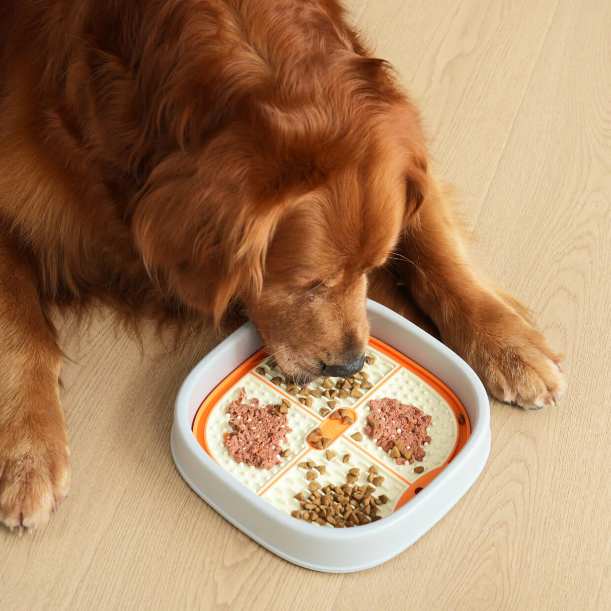 a Golden Retriever is fed with the lick mat and holder set