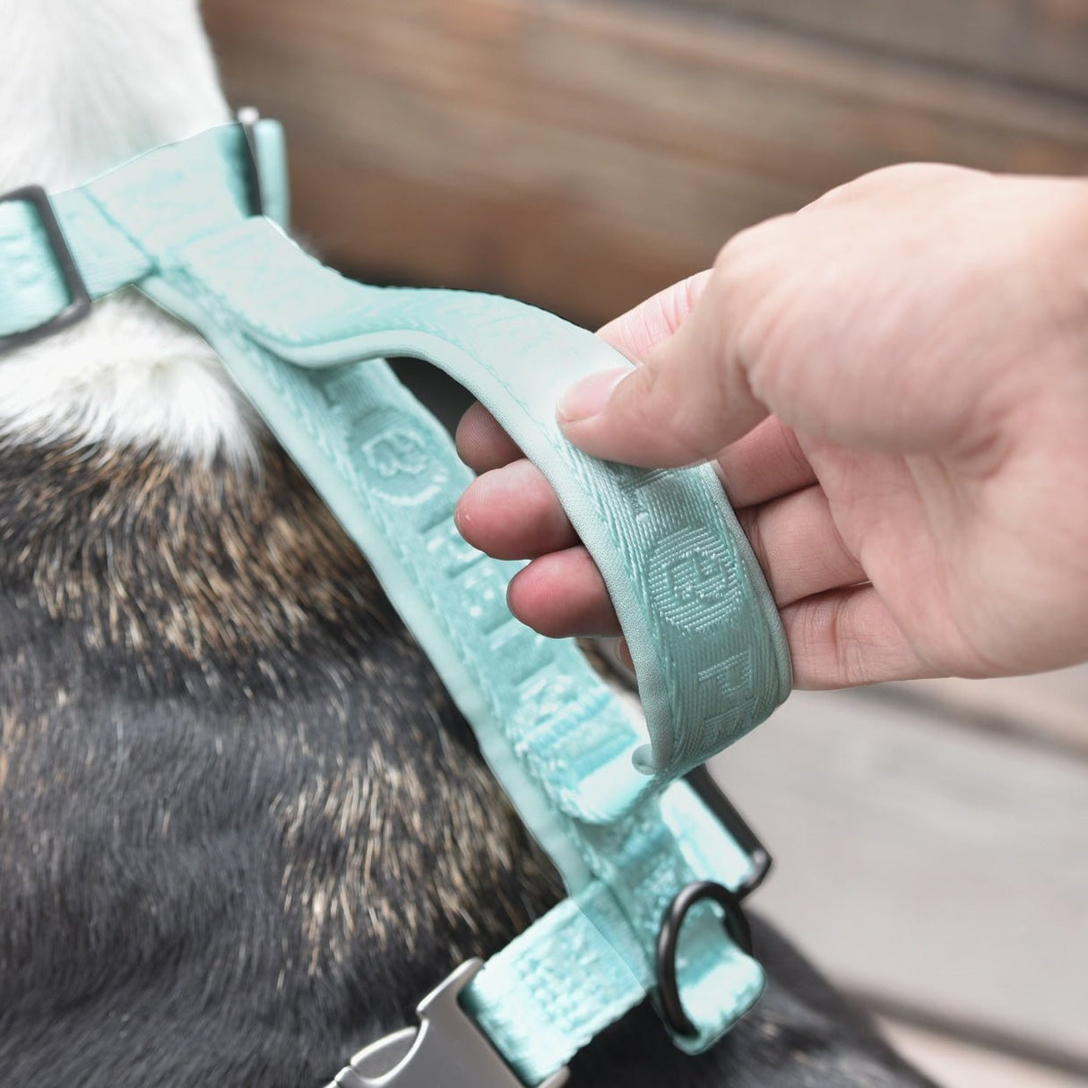 this nylon dog harness has a strong handle for lifting control and safety training