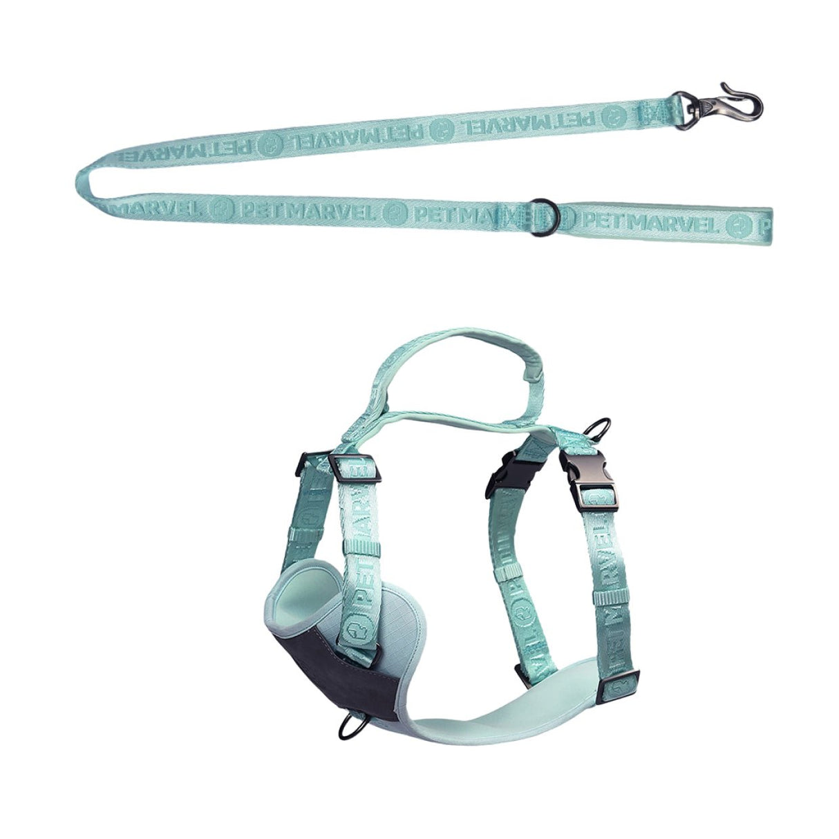 The set comes with a embroidered mint green no pull dog harness and leash that matching