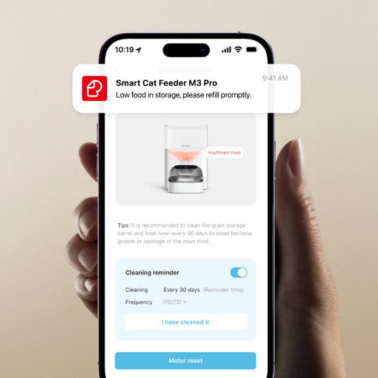 best automatic cat feeder with app control and notification