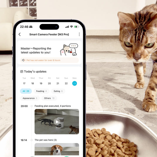 PET MARVEL programmable automatic pet feeder with voice video recording feature