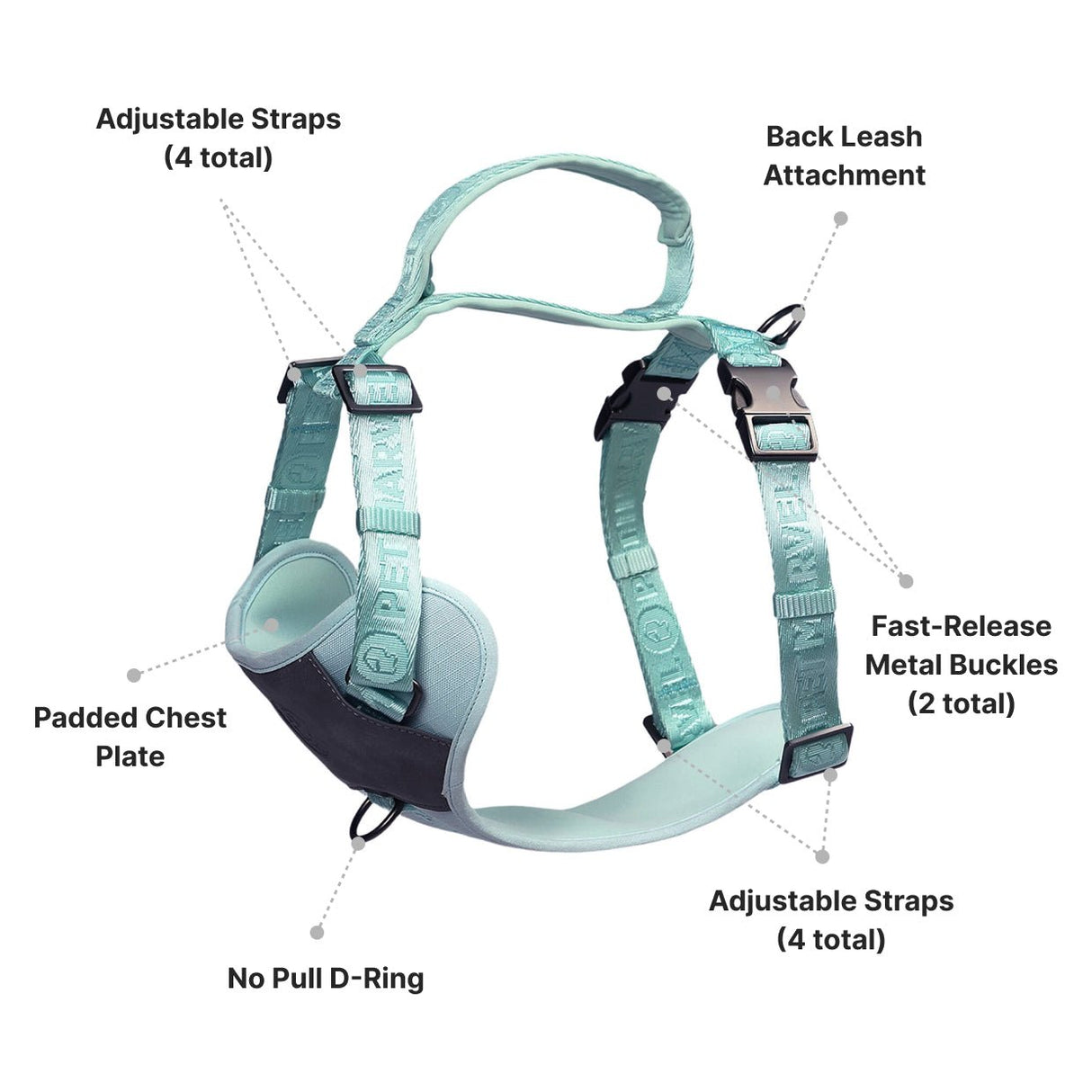 structure of pet harness contains: front clip and back leash attachment, handle, padded chest plate