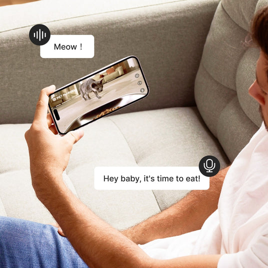 Use this interactive cat feeder to call your pet across the distance
