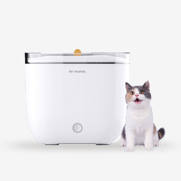 Automatic Cat Water Fountain Light