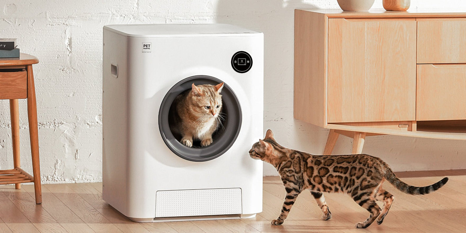 Why Are Automatic Cat Products Good For Your Pet? - PET MARVEL
