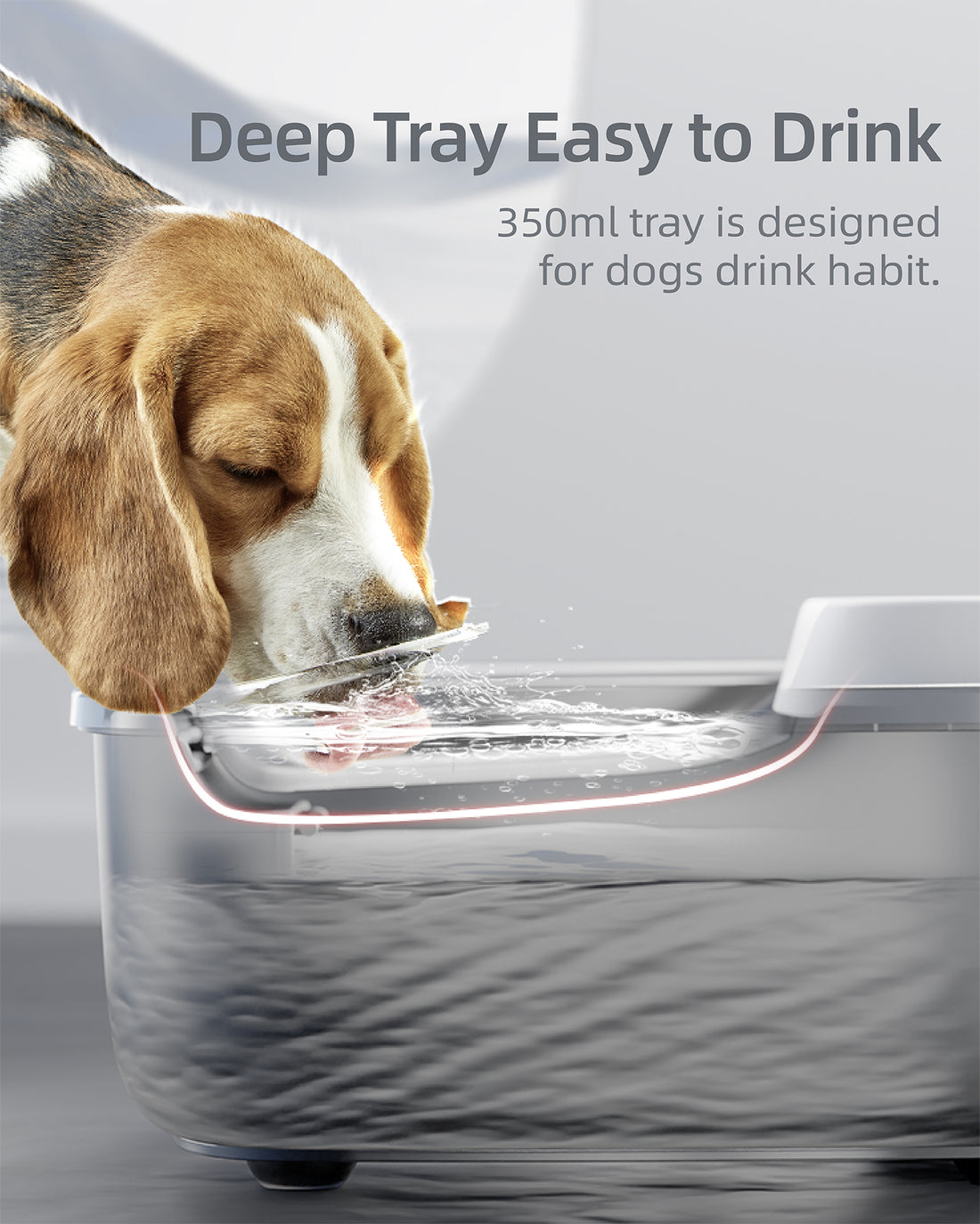 Dog Water Fountain F1 7L for Dogs, Multiple Cats, Birds