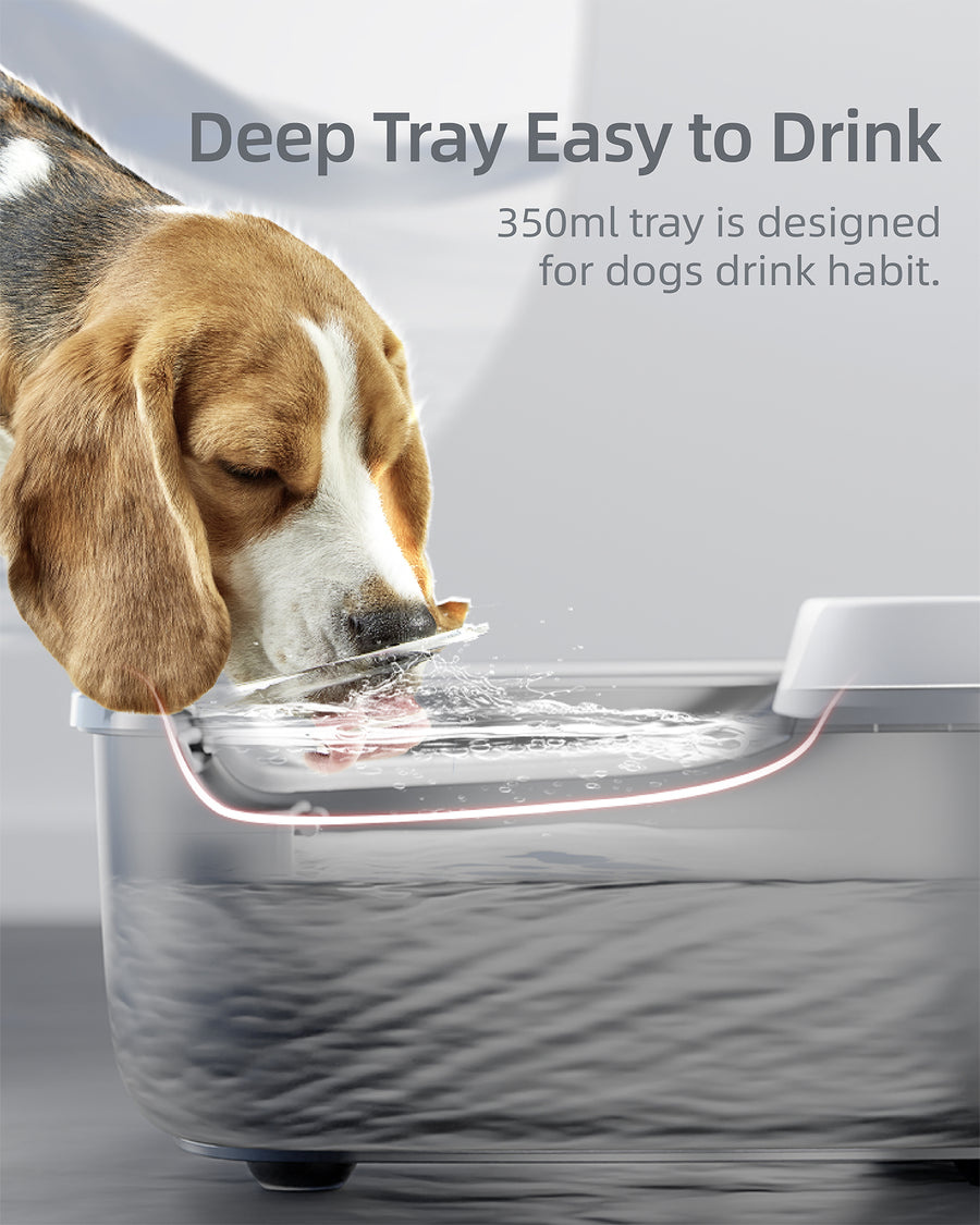 Pet Marvel Dog Water Fountain with Stainless Steel Water Tray F1