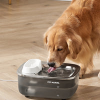 Pet Marvel Dog Water Fountain with Stainless Steel Water Tray F1