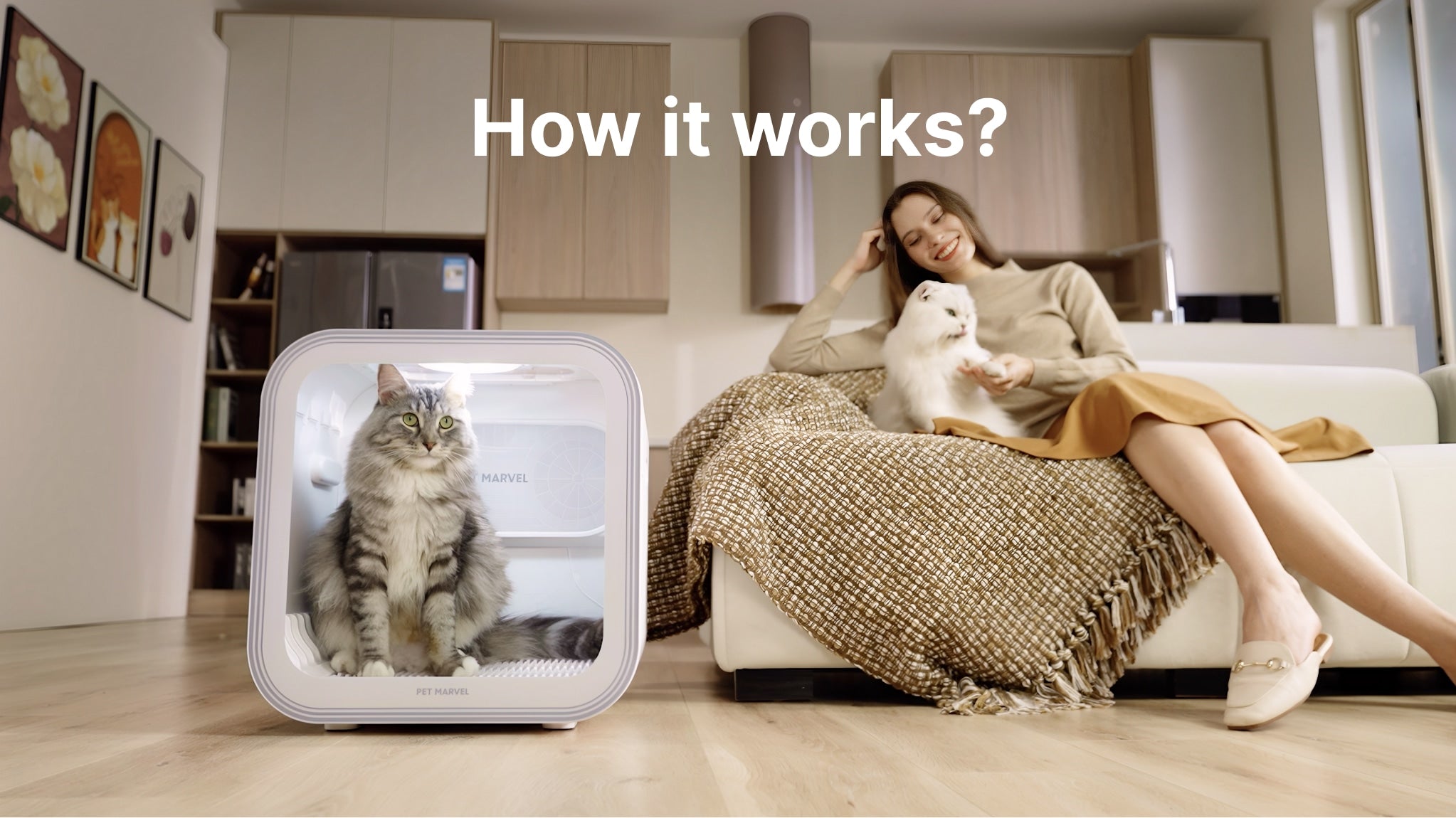 Pet Hair Dryer Box for Cats & Small Dogs Salon| PET MARVEL