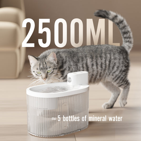 visible transparent 2.5L water tank holds enough water up to 12 days