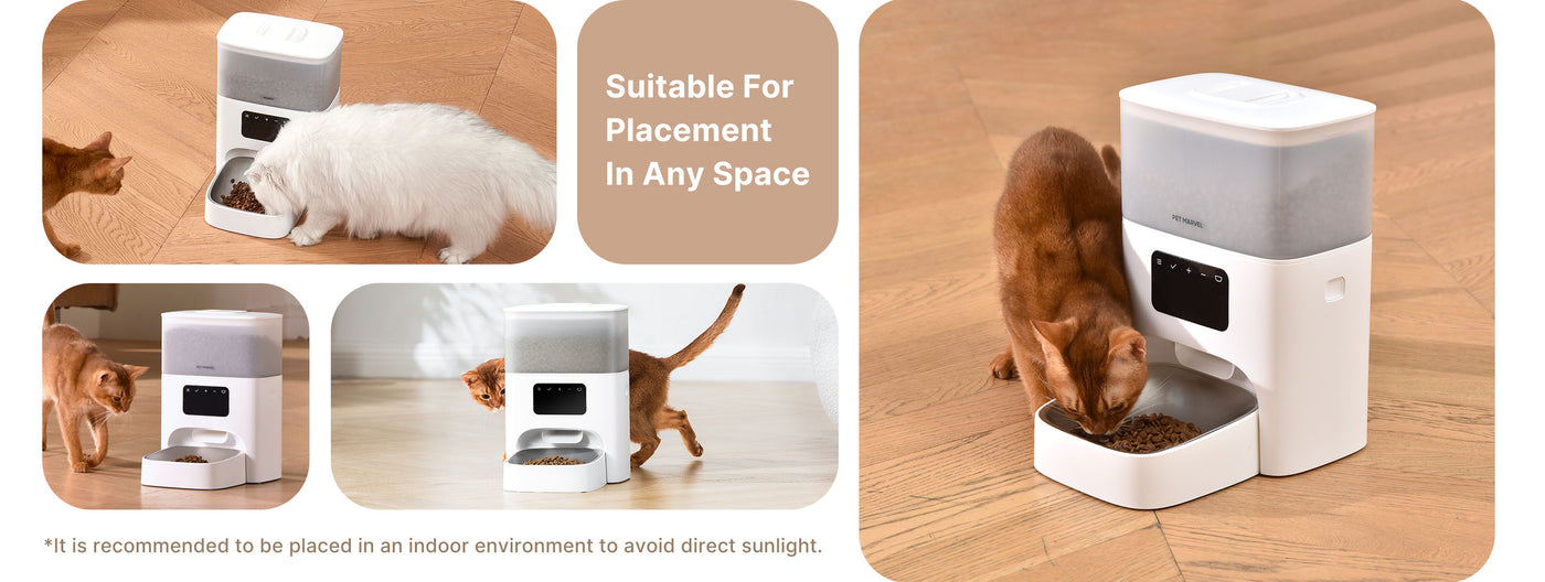 a portable cat feeding station for anywhere indoor