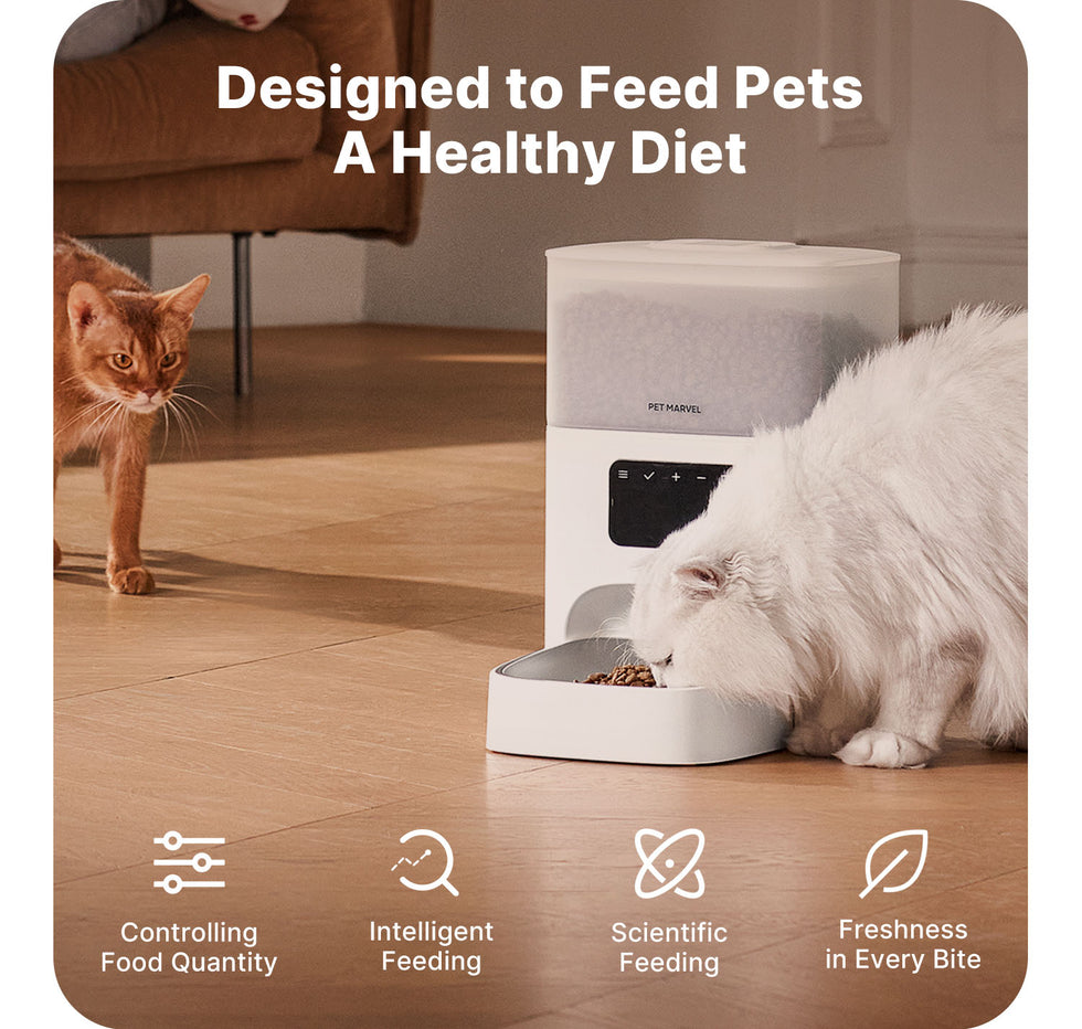 portion control scientific feeding for pets