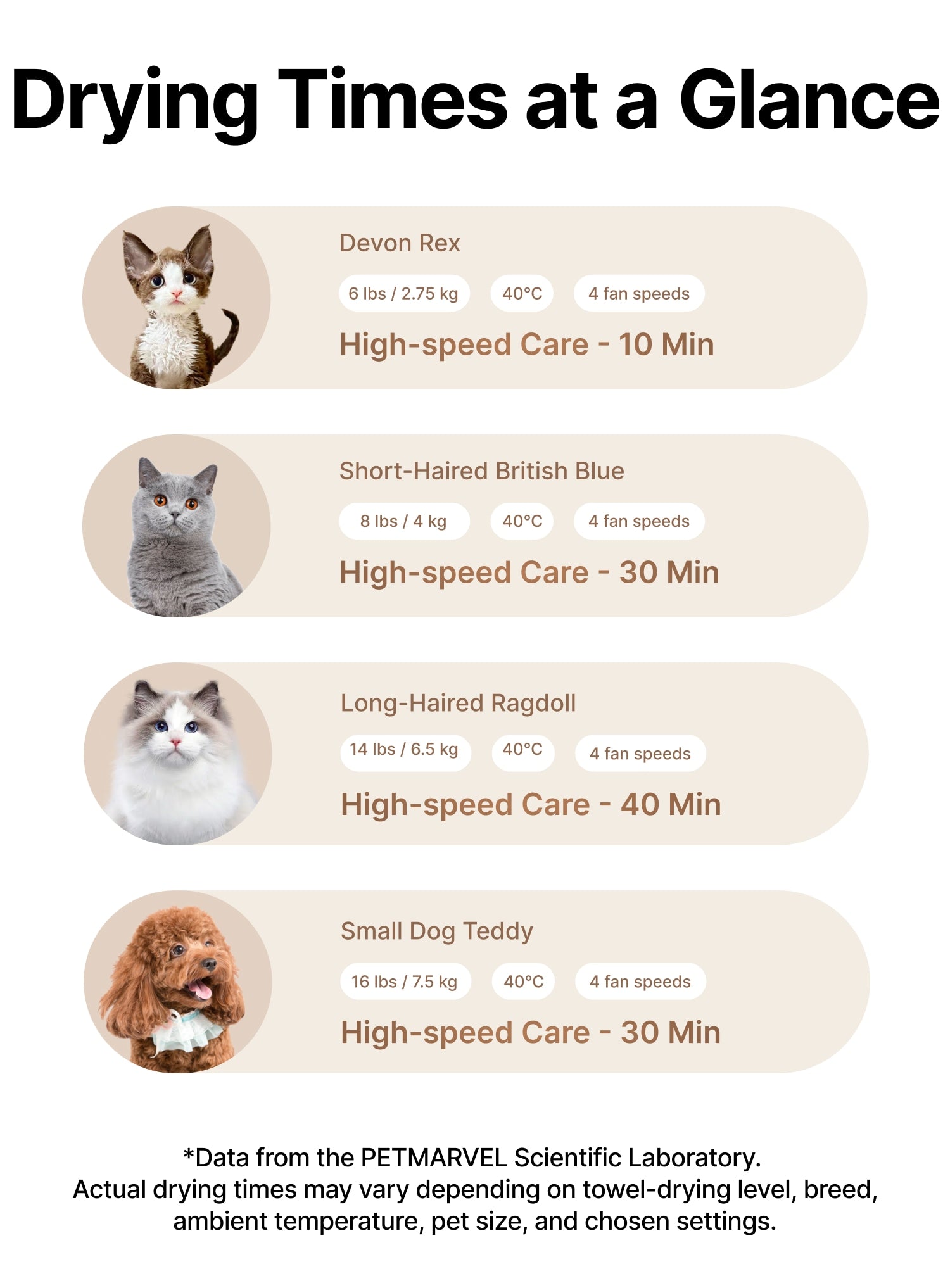 Pet Hair Dryer Box for Cats & Small Dogs Salon| PET MARVEL