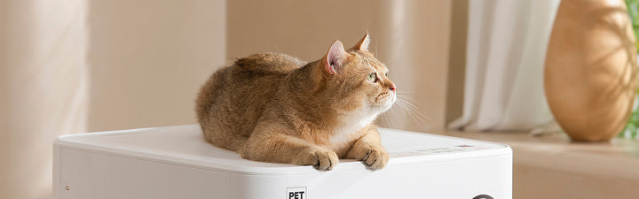 Pet Marvel's self-cleaning automatic litter box for cats with the highest safety and a Wi-Fi enabled smart application.