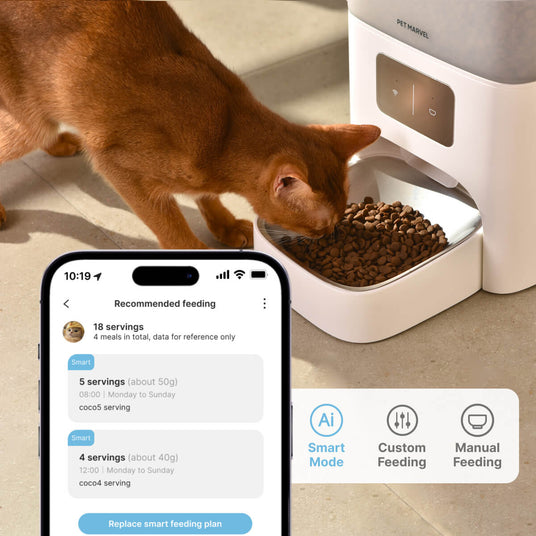 wifi cat feeder, easy to add a schedule with app control