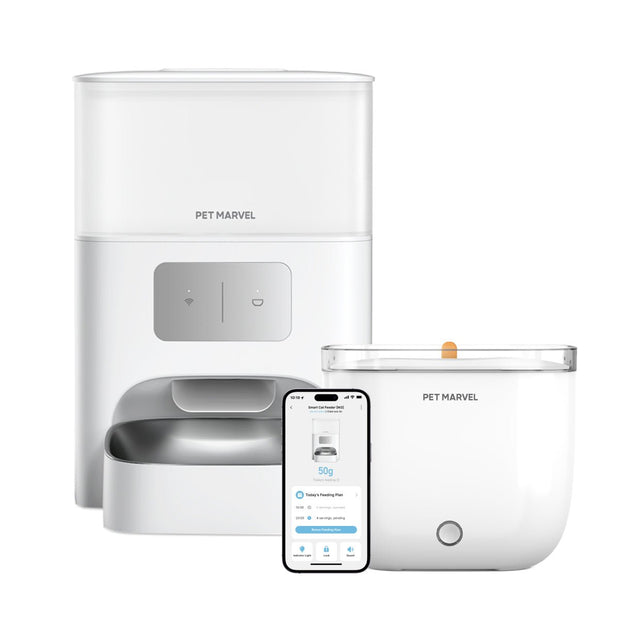 get a pet marvel cat feeder m3 and a water fountain light