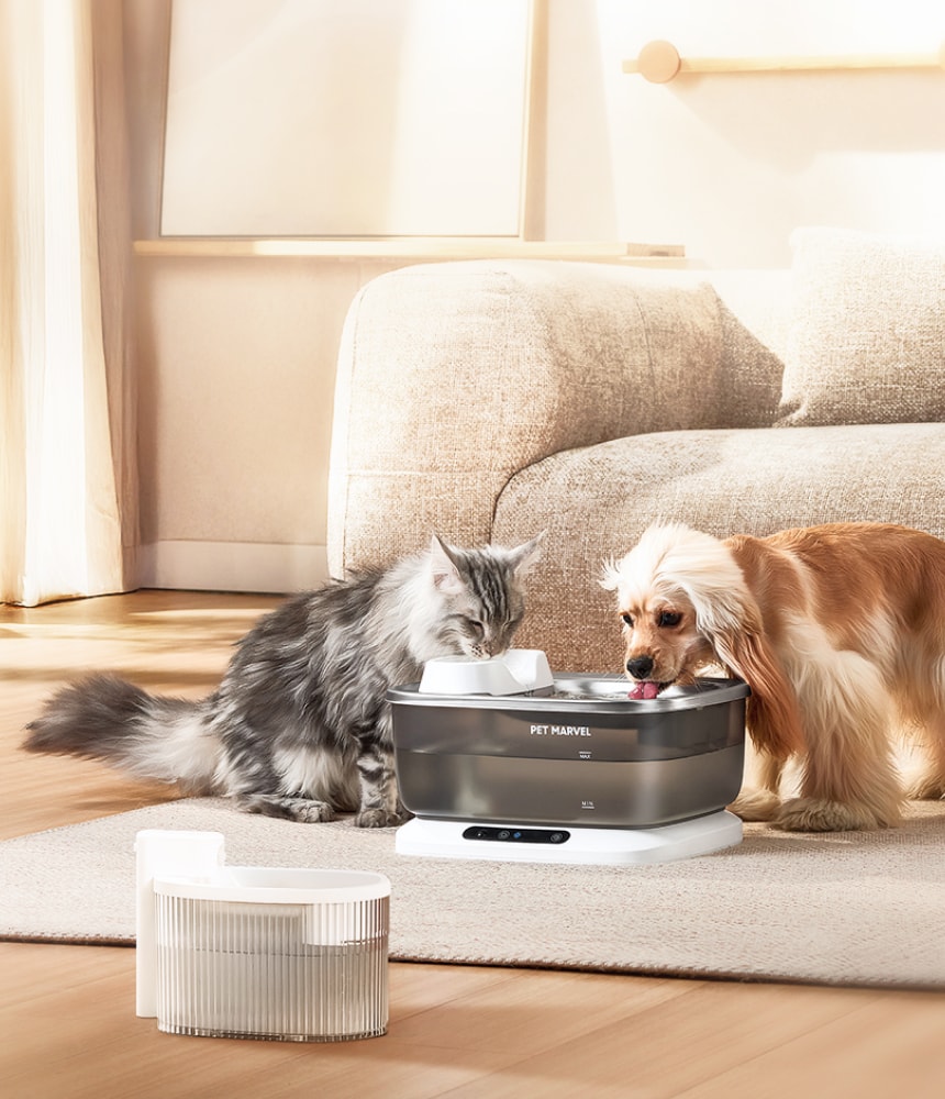 Self Cleaning Litter Box, Smart Feeder Fountain | PET MARVEL