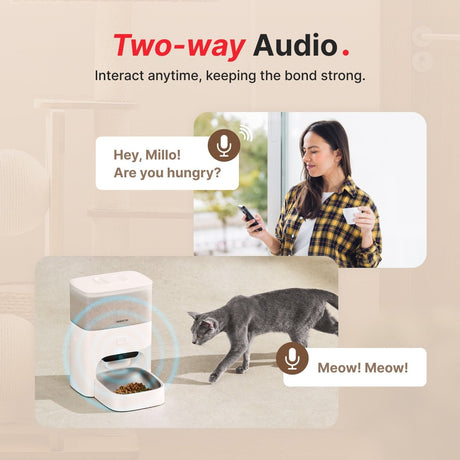 automatic cat feeder real-time video recording and calling