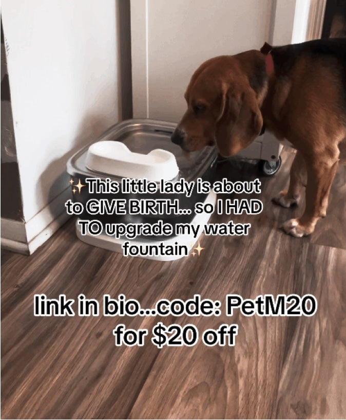 Lexismoun introduces PET MARVEL F2 on TikTok