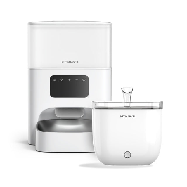 get a pet feeder M2 and water fountain light youth