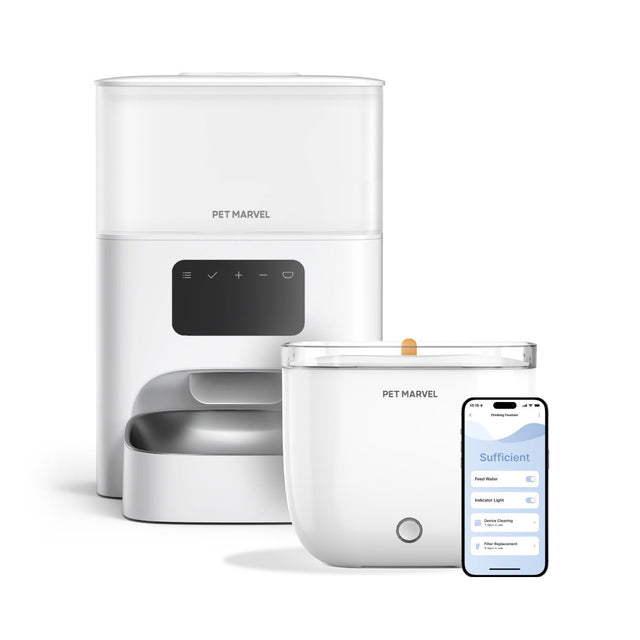 get a pet feeder M2 and water fountain light