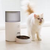 A Persian cat feels delicous about the food in the pet feeder