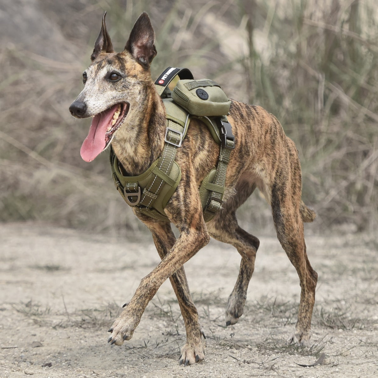 Outdoor Tactical Saddle Harness