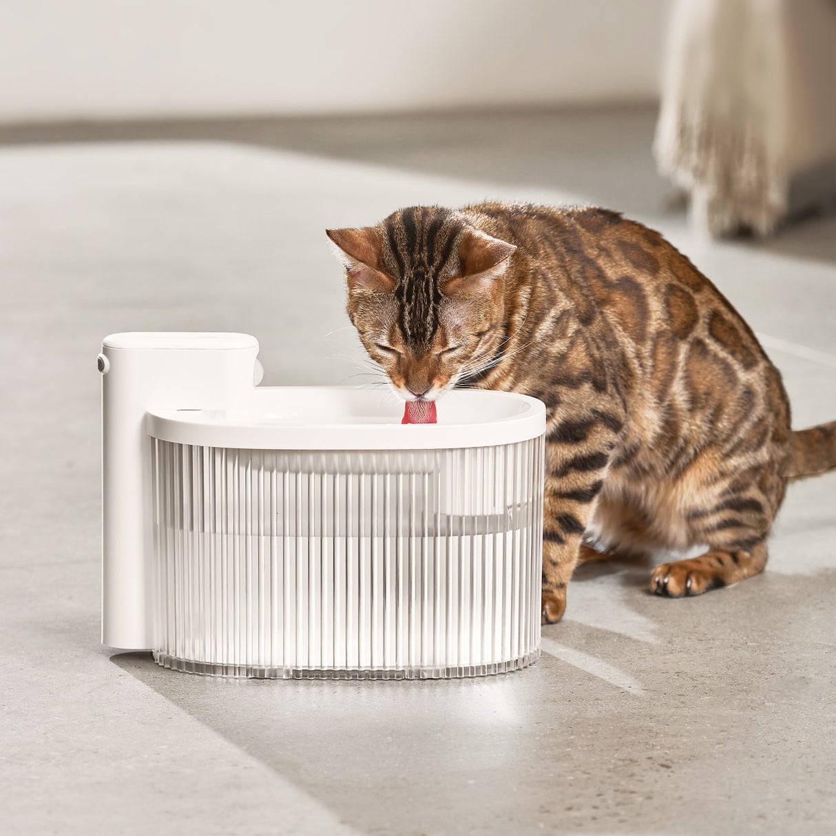 A cat is drinking water water with cordless water fountain