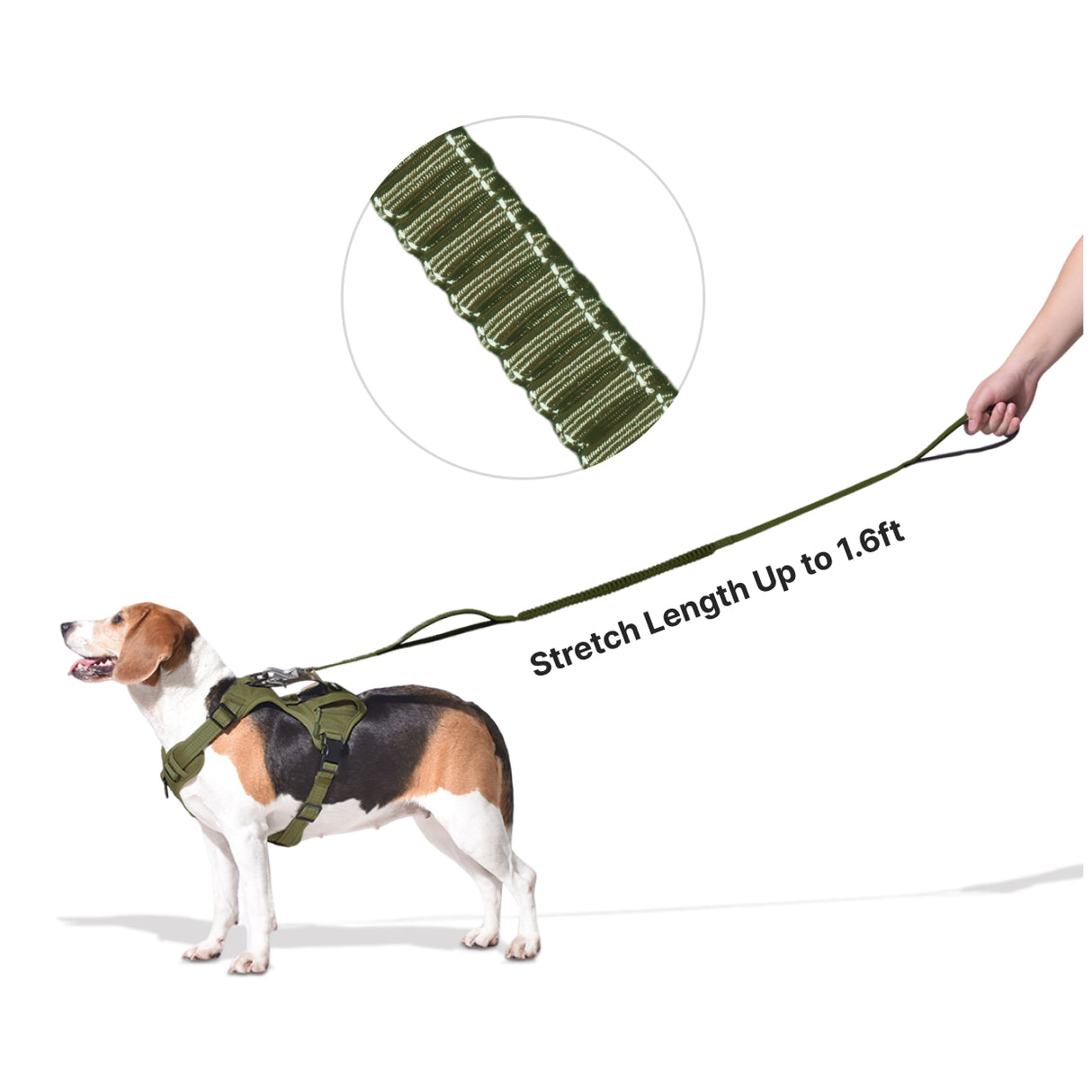 bungee cord dog leash with extendable 1.6ft extra long length