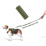 bungee cord dog leash with extendable 1.6ft extra long length