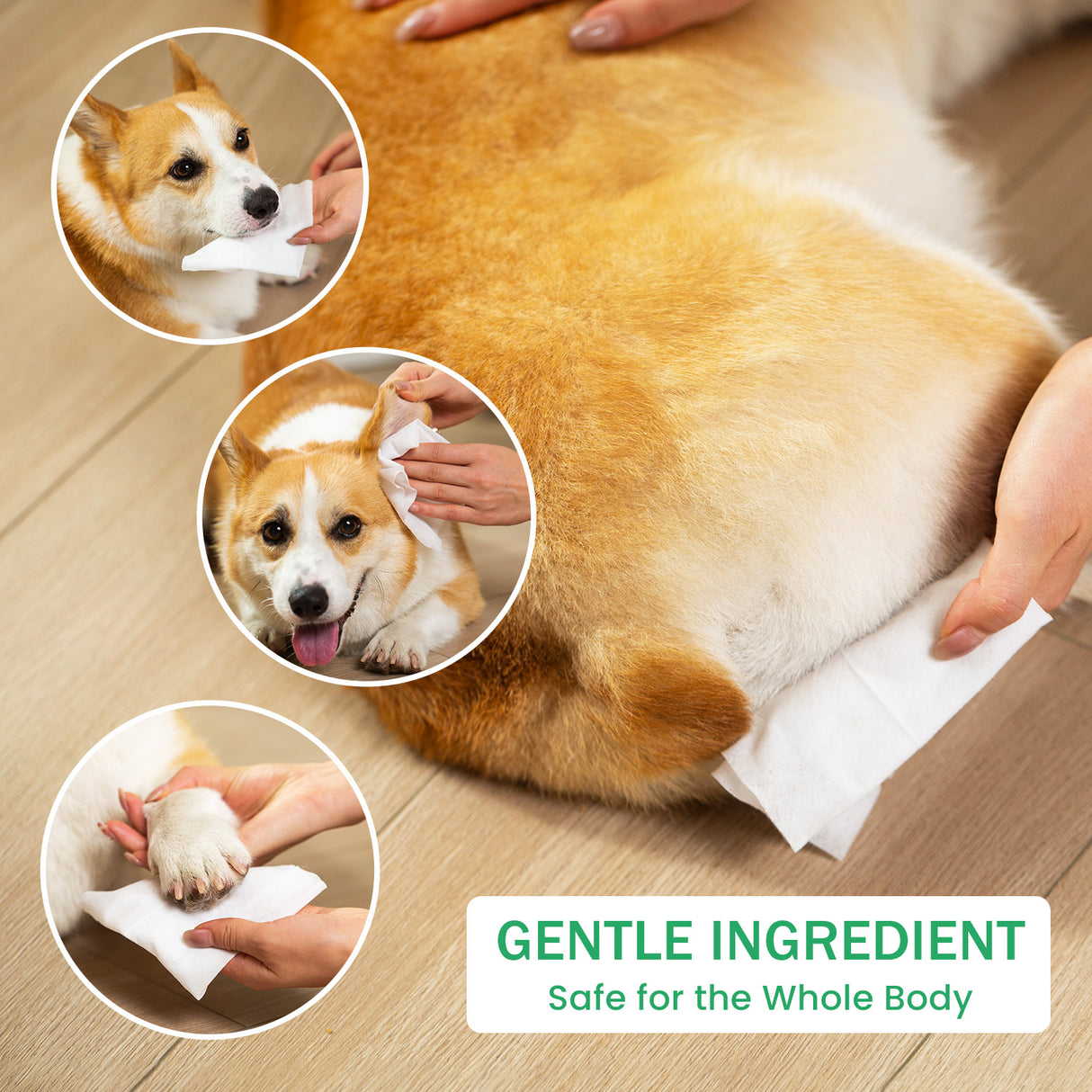 the dog wipes is safe for the whole body of pets with gentle ingredient