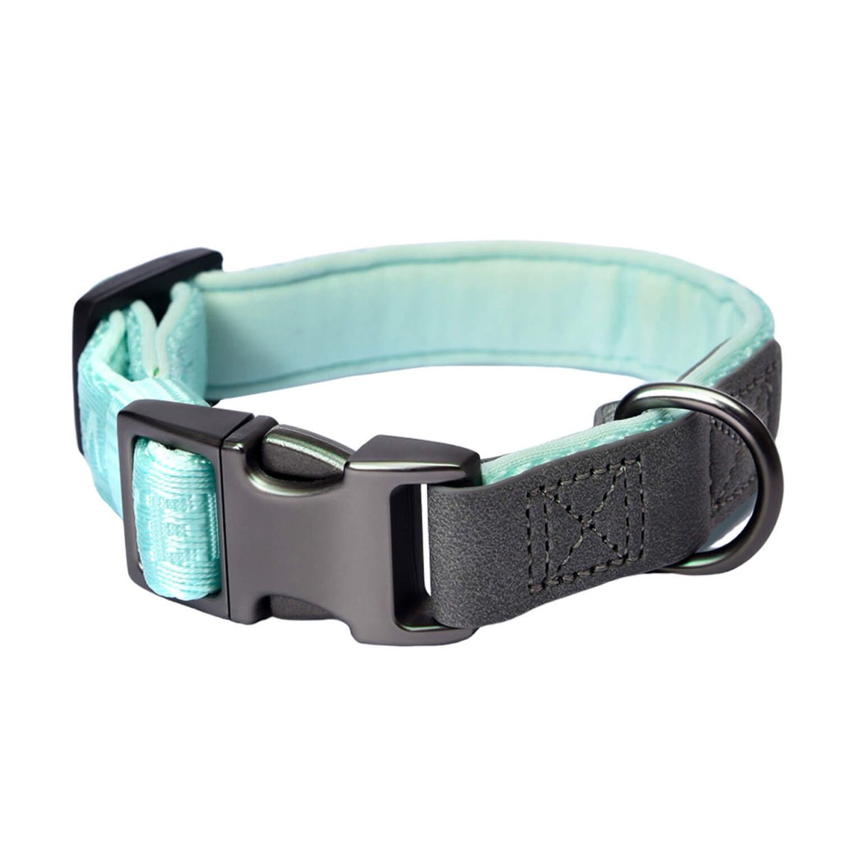 mint green dog collar
