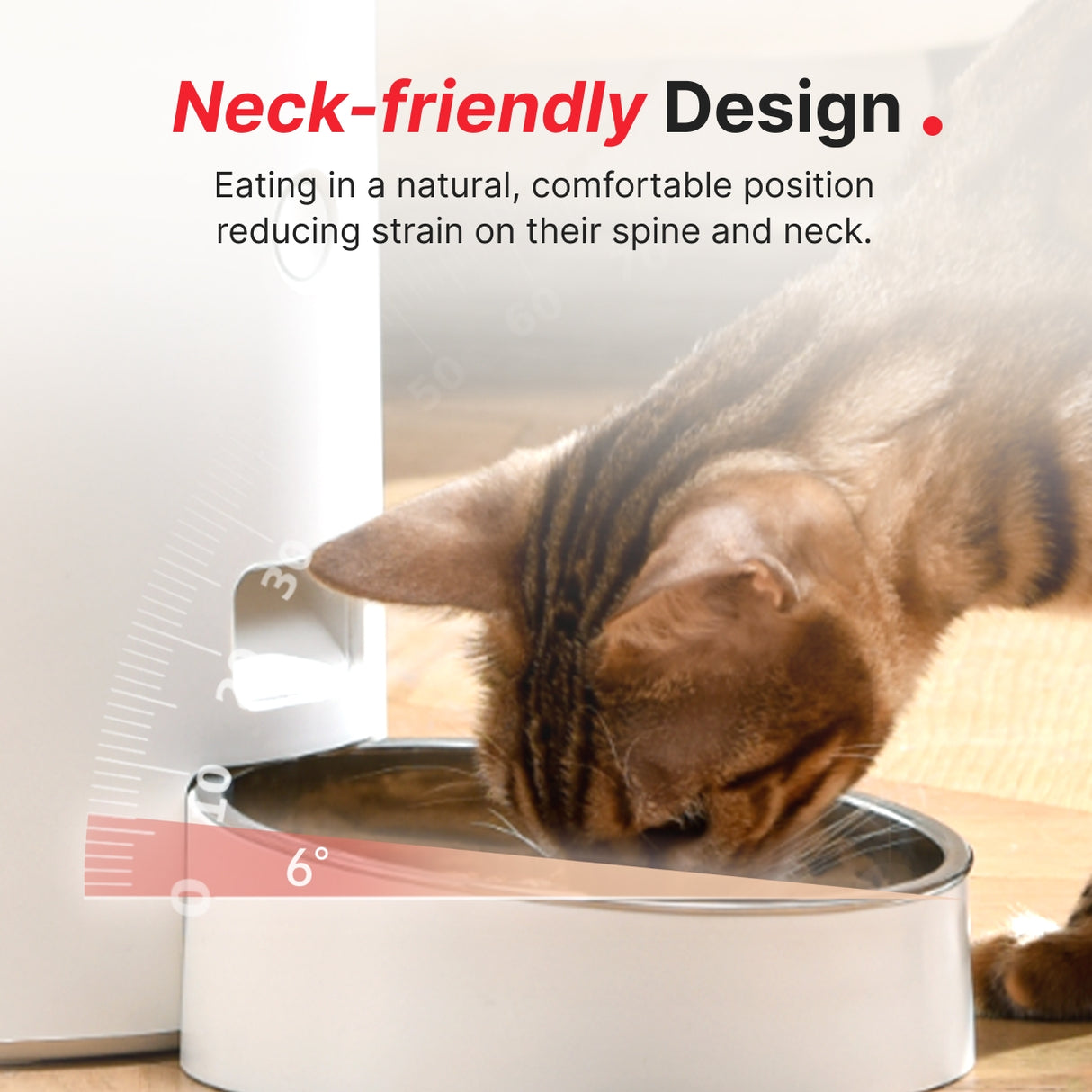 slant cat bowl placed to protect cat's spine and neck