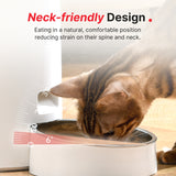 slant cat bowl placed to protect cat's spine and neck