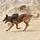 a german shepherd is runing with a black tactical dog harness