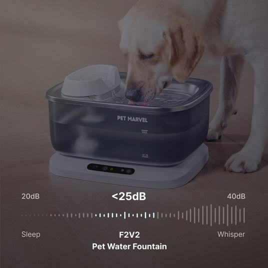 silent cat water fountain without disturbing